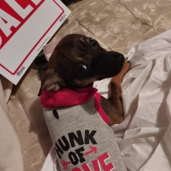 Meet the Posher Other - Meet your Posher, Bianca